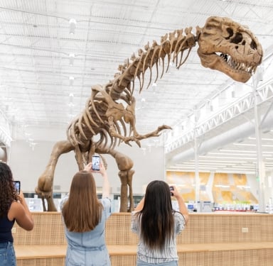 A towering dinosaur skeleton is displayed in a bright, modern building. Three women, seen from behind, are capturing photos of the exhibit with their phones.