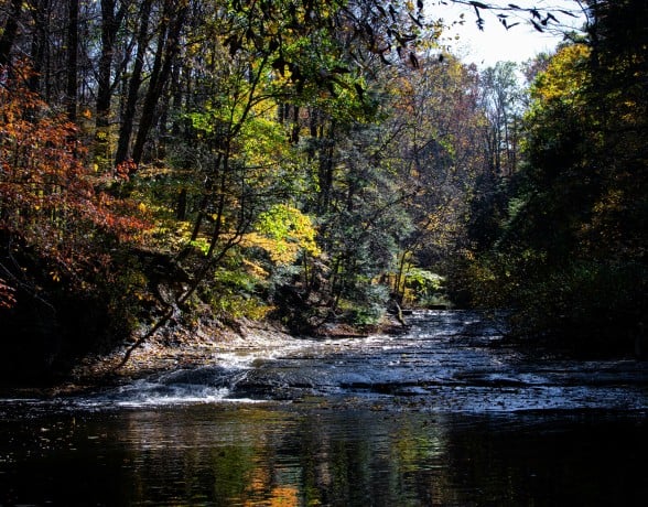 A stream flows over dark, flat rocks, reflecting autumn trees. Dappled sunlight illuminates the vibrant red, green, and yellow foliage of the dense surrounding forest.