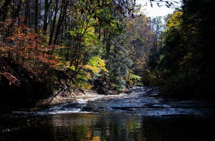 A stream flows over dark, flat rocks, reflecting autumn trees. Dappled sunlight illuminates the vibrant red, green, and yellow foliage of the dense surrounding forest.