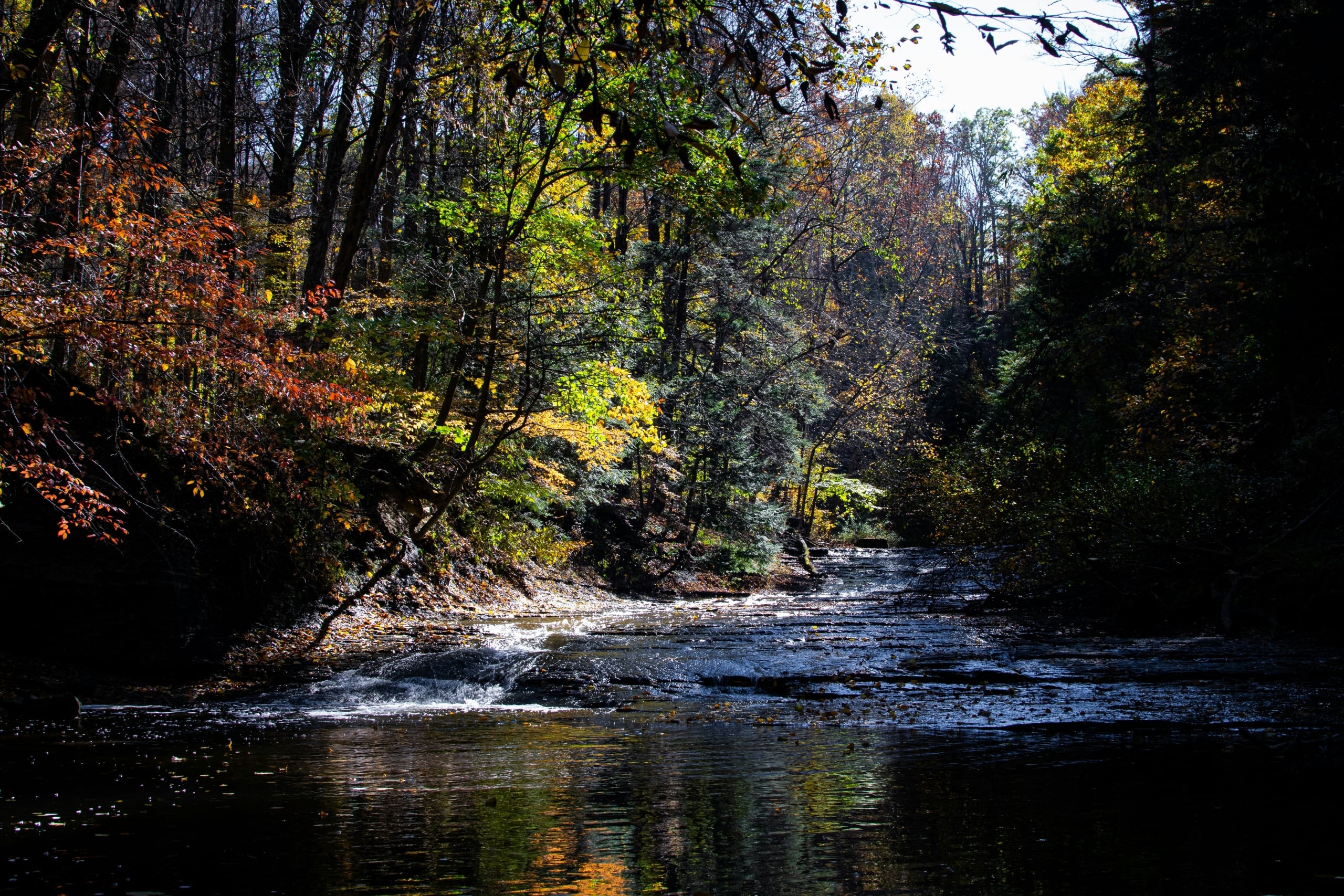 A stream flows over dark, flat rocks, reflecting autumn trees. Dappled sunlight illuminates the vibrant red, green, and yellow foliage of the dense surrounding forest.