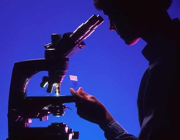 A silhouetted person peers into a microscope, holding a specimen slide against a vibrant blue background. Text: '2019/31 S', 'Bile duct cancer', 'K19-HH2-S', '00'.