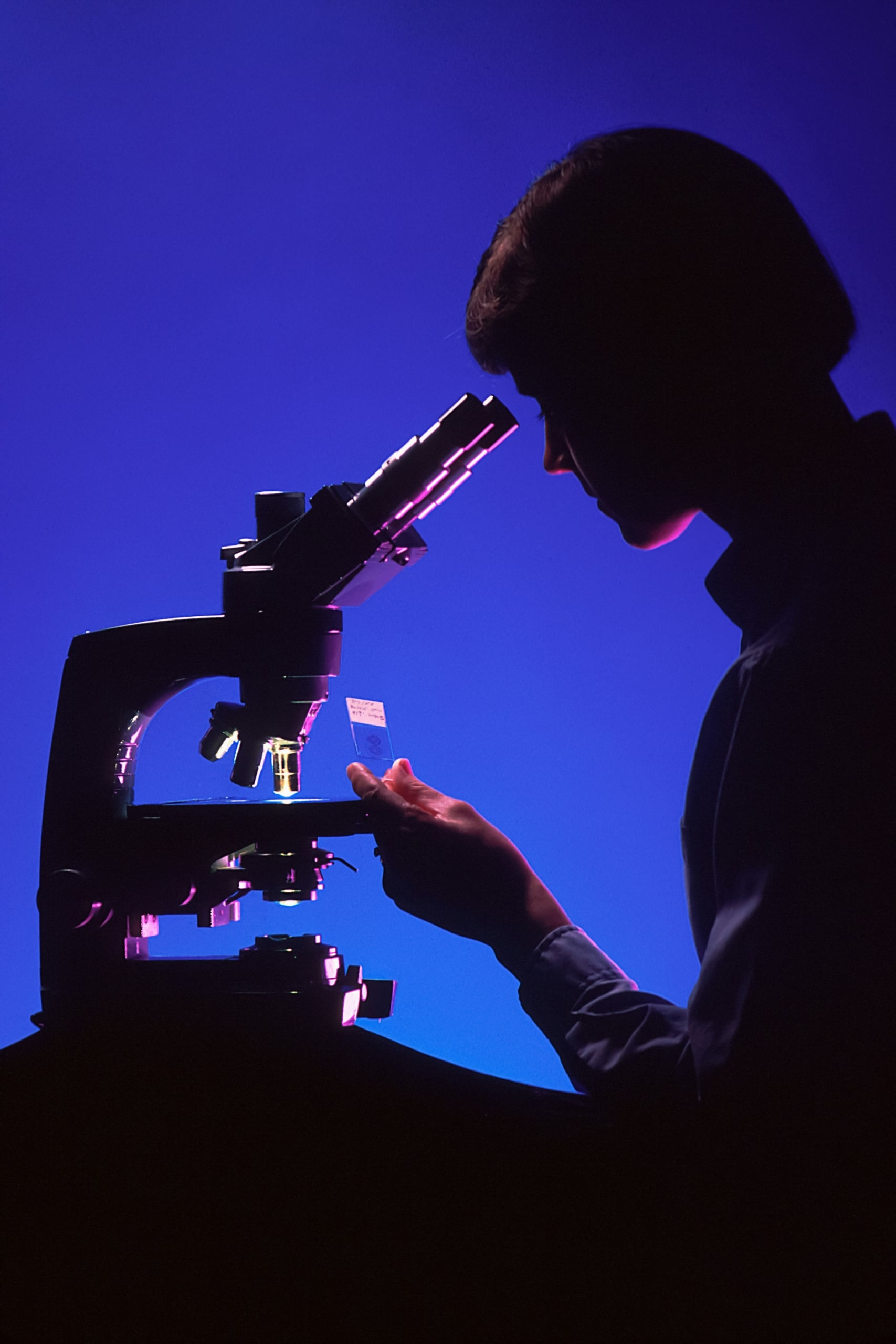 A silhouetted person peers into a microscope, holding a specimen slide against a vibrant blue background. Text: '2019/31 S', 'Bile duct cancer', 'K19-HH2-S', '00'.